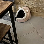 Aloha a rejoint le concours — aidez-le/la à gagner de superbes lots ! cat, pet_bed, black_cat, indoor, floor_tile, stone_wall, wooden_table, wooden_chair, furniture, tail, cozy, animal, domestic, resting, home, soft_bed, cute, hidden, small_space, playful
