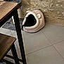 cat, pet_bed, black_cat, indoor, floor_tile, stone_wall, wooden_table, wooden_chair, furniture, tail, cozy, animal, domestic, resting, home, soft_bed, cute, hidden, small_space, playful