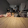 baby, dog, table, wooden_table, indoor, furniture, chair, curious, pet, child, canine, floor, home, living_room, person, animal, flooring, head, tabletop, room