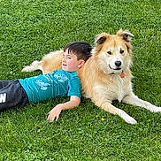 Princess Leia joined the competition — help win amazing prizes! animal, boy, canine, casual_clothing, child, collar, companion, dog, friendship, fur, grass, greenery, happy, laying_down, nature, outdoor, pet, playful, relaxed, summer