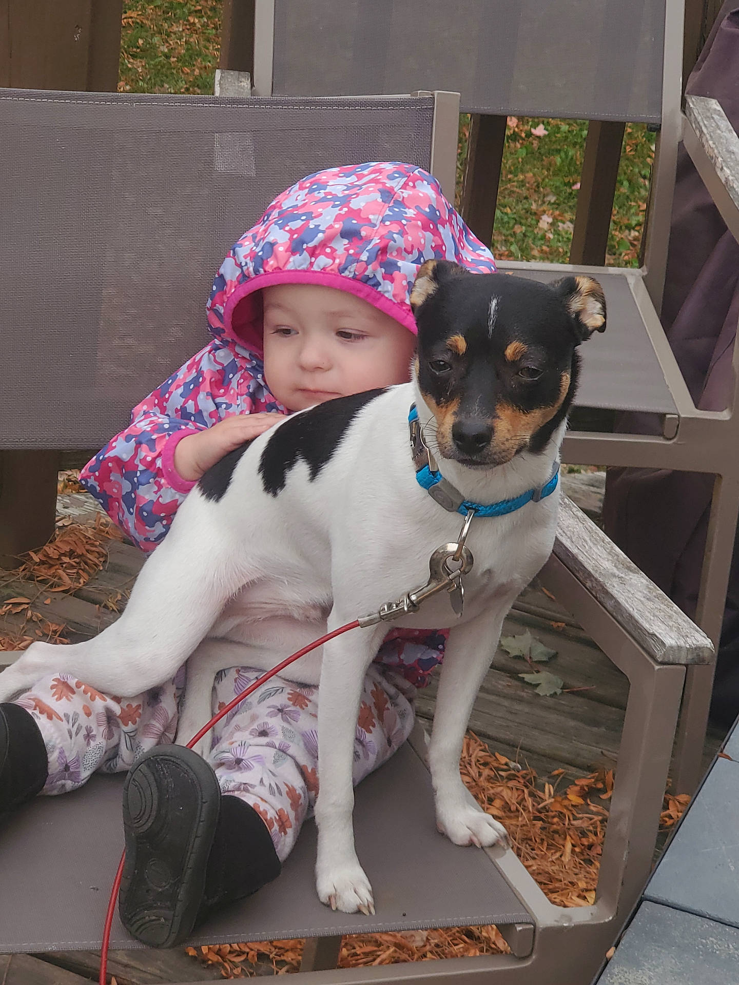 Remy is registered to the contest to win money with this photo: accessories, animal, baby, bonnet, canine, cap, clothing, coat, dog, face, footwear, hat, head, hound, person, pet, photography, portrait, shoe, strap