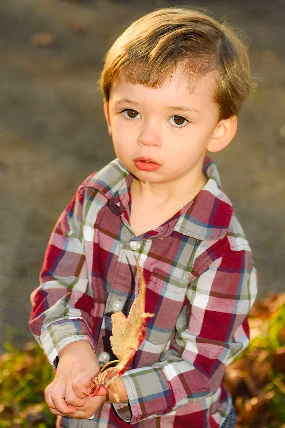 Jalen is registered to the contest to win money with this photo: collar, dress_shirt, facial_expression, flash_photography, grass, hairstyle, happy, head, iris, lip, nose, people_in_nature, person, plaid, plant, shirt, sleeve, standing, tartan, toddler