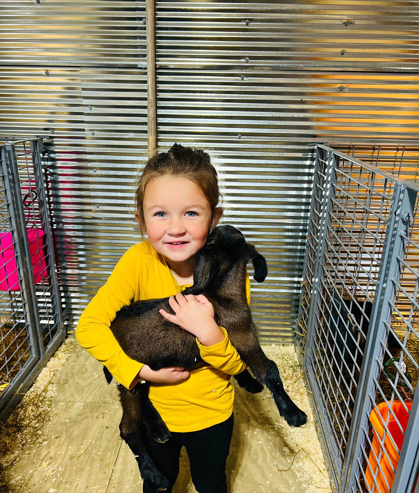 Aislynn joined the competition — help win amazing prizes! animal_shelter, baby, baby_products, baby_toddler_clothing, child, companion_dog, dog_breed, fun, fur, guard_dog, happy, joy, laugh, leisure, person, play, sitting, smile, toddler