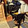 Bear James