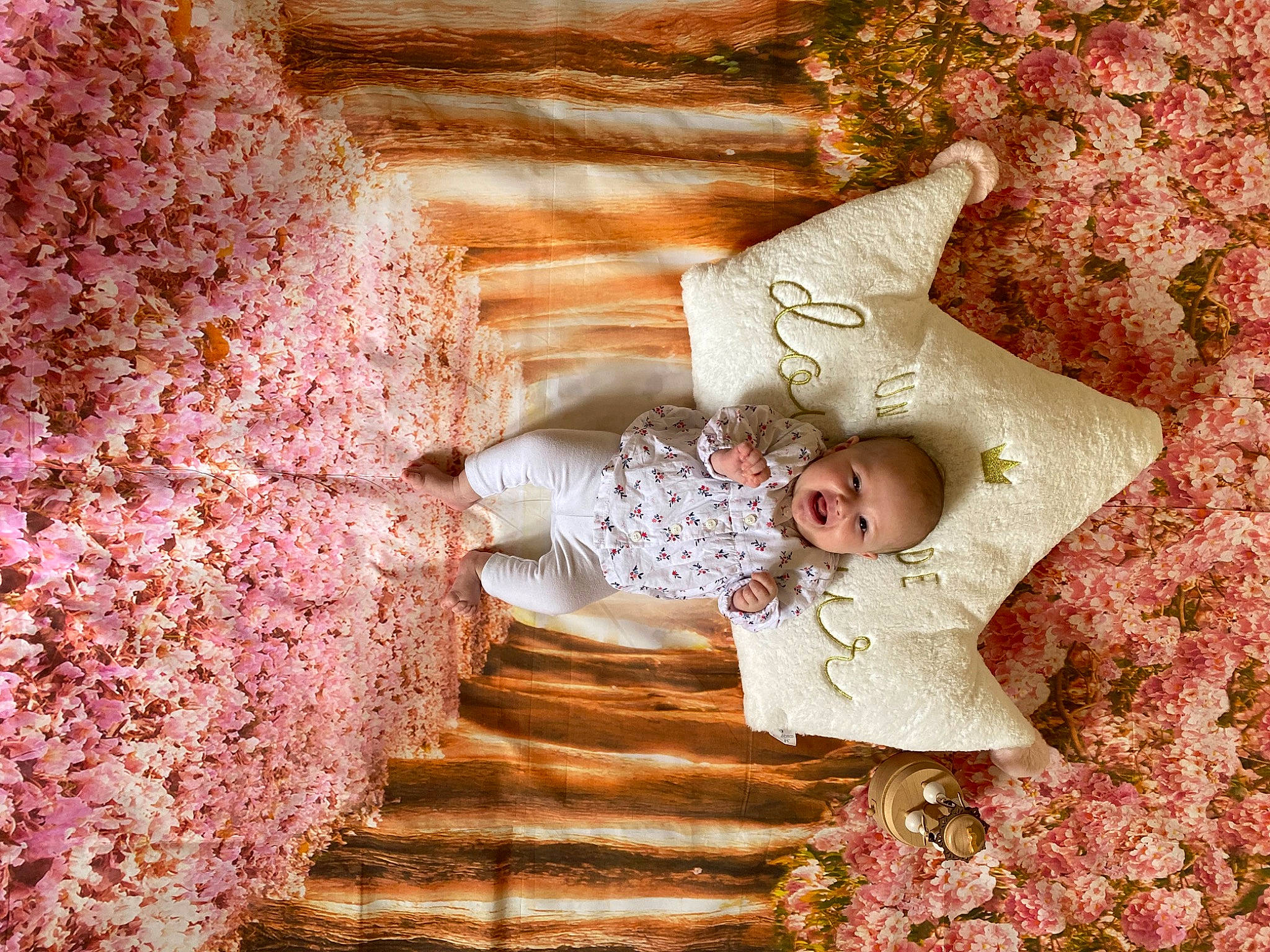 Nëva participe au concours pour gagner de l'argent avec cette photo : branch, dress, flower, gesture, grass, happy, human_body, organism, pattern, peach, people_in_nature, person, pink, plant, spring, textile, tints_and_shades, toddler, tree, wood