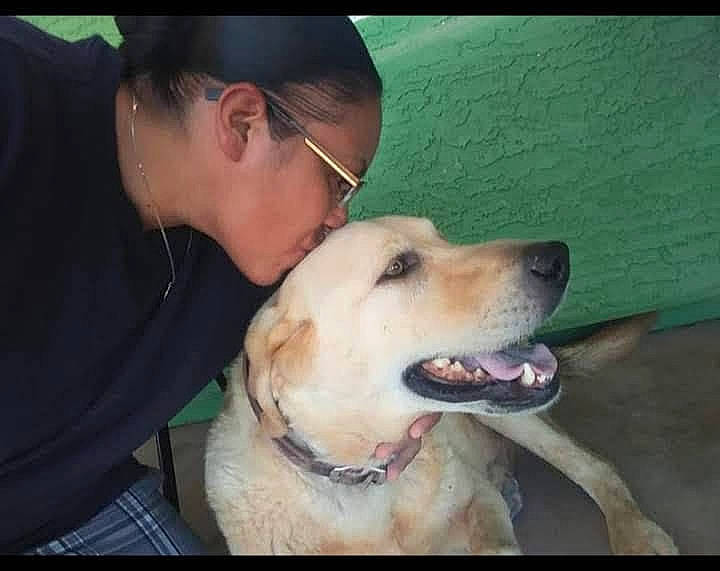 Gordo is registered to the contest to win money with this photo: canidae, carnivore, collar, companion_dog, dog, dog_breed, dog_collar, ear, fawn, fur, gesture, guard_dog, happy, nose, puppy_love, retriever, selfie, snout, sporting_group, whiskers