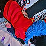 cat, black_and_white_cat, red_sweater, blue_hat, bed, anime_poster, cosplay, sleeping, pet_clothing, indoor, feline, cute, resting, colorful, fur, animal, cozy, soft, relaxing, cute_pet