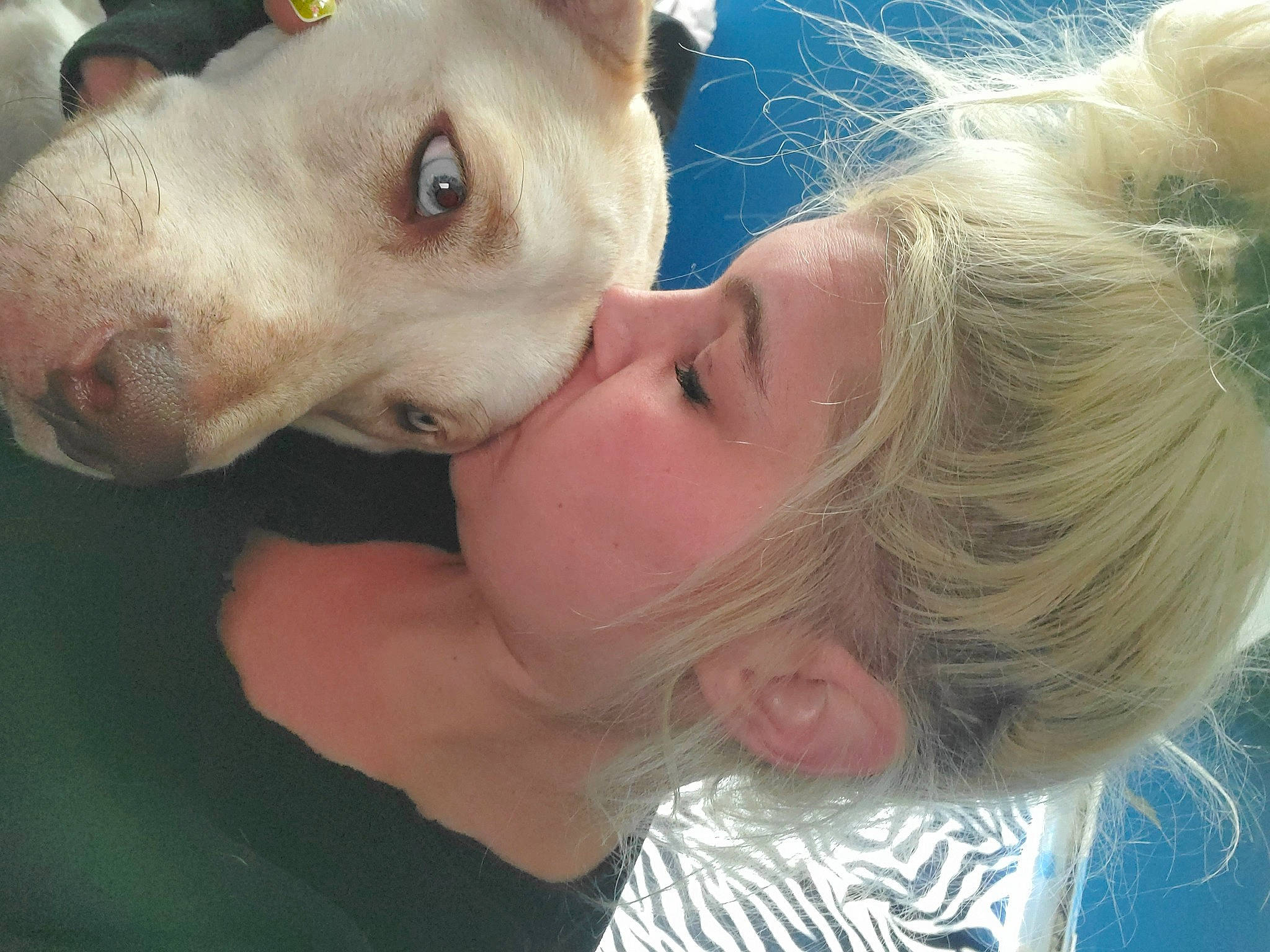 Mmm J is registered to the contest to win money with this photo: baby, canidae, carnivore, companion_dog, dog, dog_breed, interaction, kiss, love, mammal, neck, net, non_sporting_group, skin, snout, whiskers, working_animal, working_dog