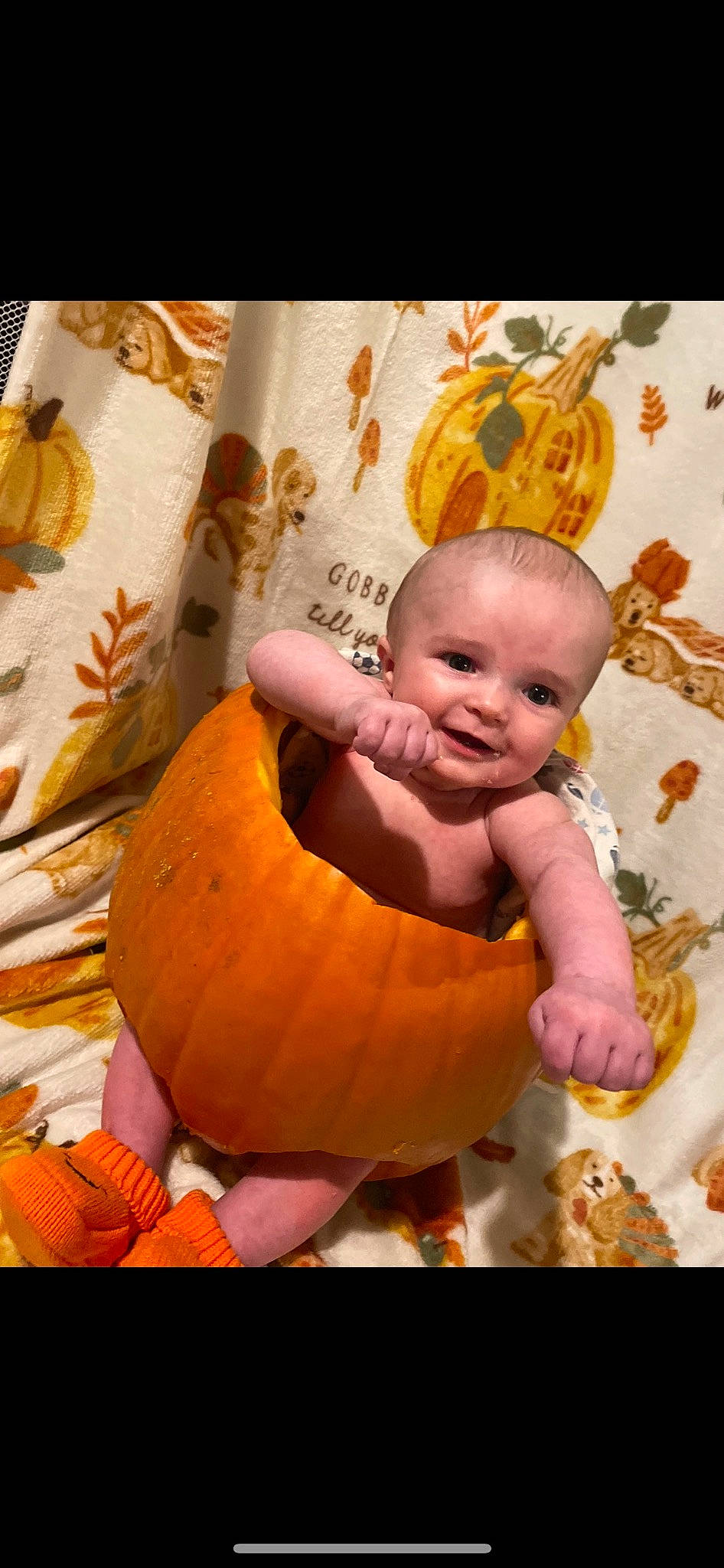 Shane is registered to the contest to win money with this photo: art, baby, baby_toddler_clothing, calabaza, child, eye, facial_expression, flooring, happy, natural_foods, orange, people_in_nature, person, plant, pumpkin, smile, squash, toddler, vegetable, winter_squash