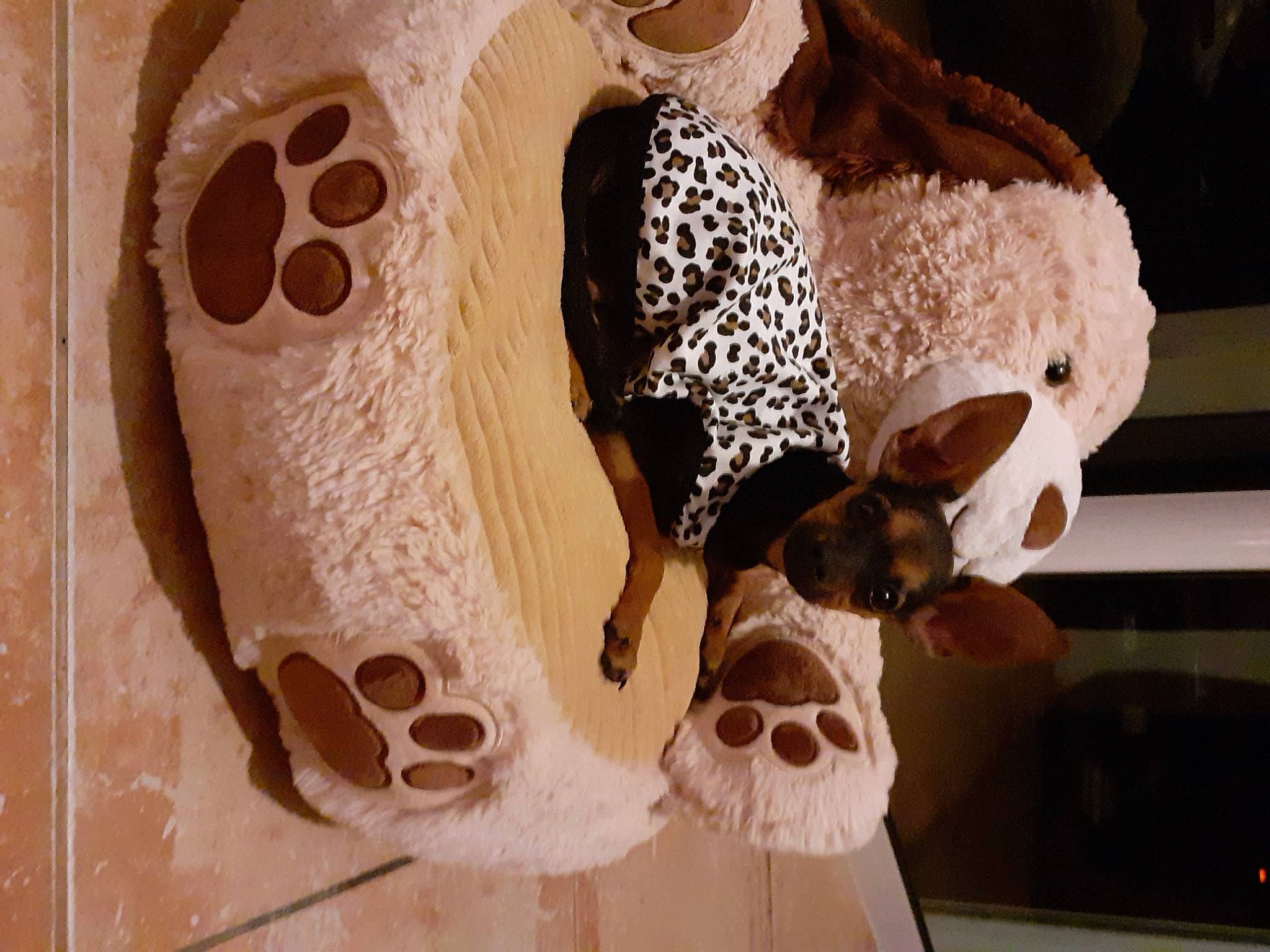 Trésor a rejoint le concours — aidez-le/la à gagner de superbes lots ! art, ceiling, circle, fashion_accessory, fawn, headgear, interior_design, lamp, lampshade, light_fixture, lighting_accessory, pattern, room, sculpture, skull, toy, tree, visual_arts, white, wood