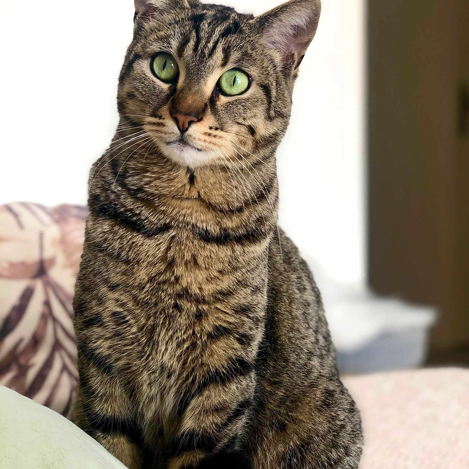 Oscar