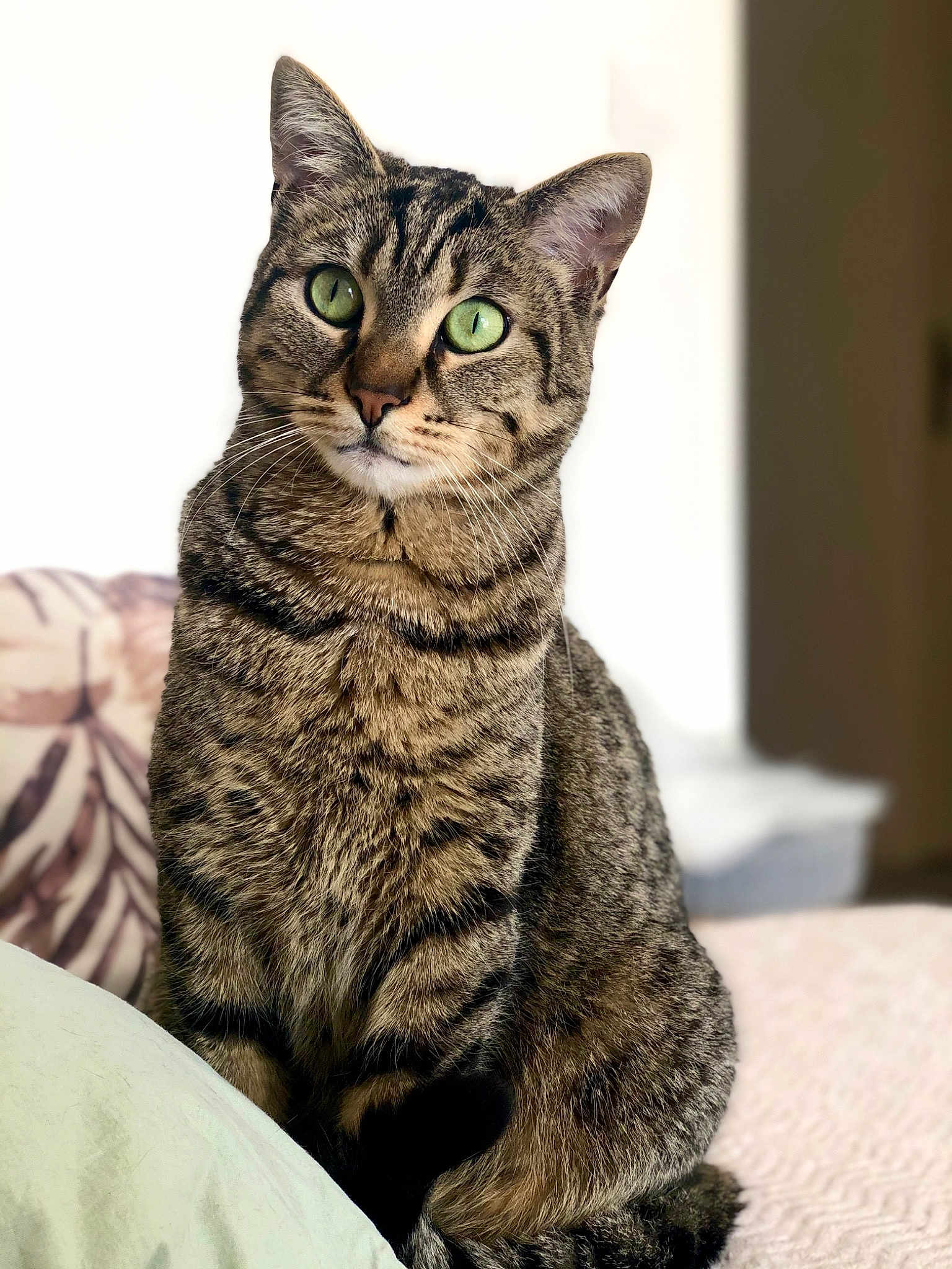 Oscar