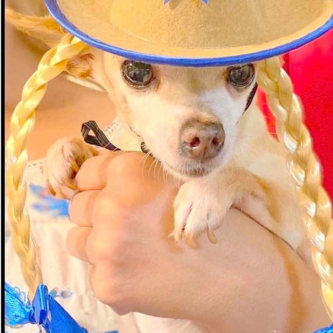 Chikita