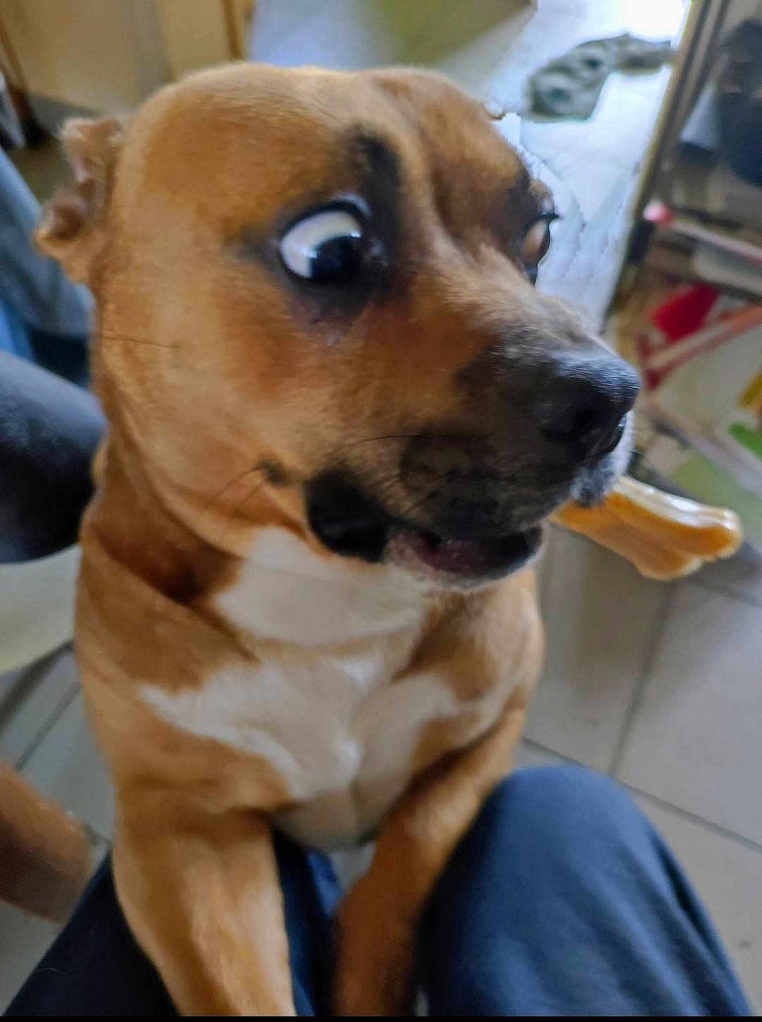 Max