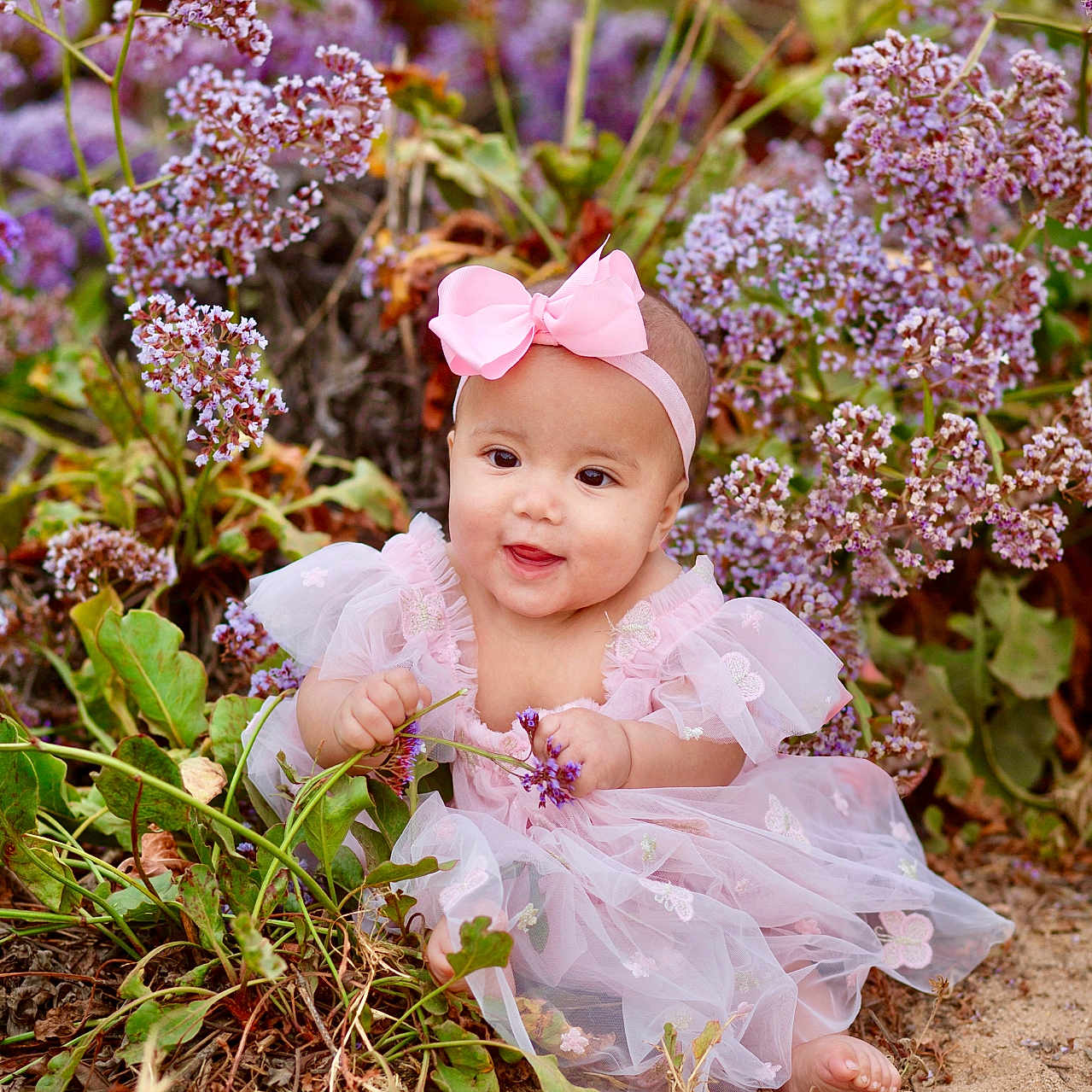 Mika is registered to the contest to win money with this photo: baby, infant, child, pink_dress, headband, bow, flowers, purple_flowers, outdoor, nature, plants, greenery, cute, smiling, sitting, ground, portrait, garden, floral, happy