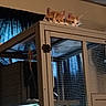 Leland joined the competition — help win amazing prizes! cats, kittens, ginger_cat, white_cat, animal, pet, feline, two_animals, peeking, curious, looking_at_camera, ears, faces, indoor, cabinet, cage, wire_mesh, furniture, home, portrait