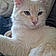 Alvin