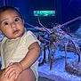 Lukai is registered to the contest to win money with this photo: baby, child, aquarium, lobster, sea_creature, marine_life, tank, water, rocks, curiosity, wide_eyes, white_clothing, legs, hand, closeup, indoor, glass, surprise, animal, cute