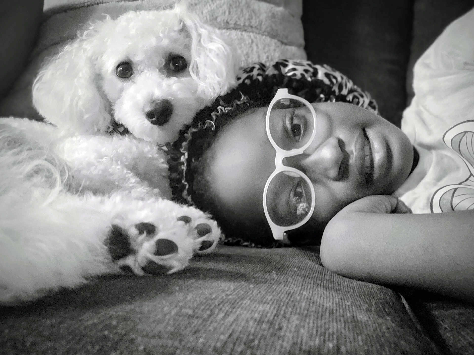 Mr Fluffy Brooks joined the competition — help win amazing prizes! person, dog, white_dog, glasses, couch, black_and_white, close_up, face, paw, curly_hair, relaxing, indoor, pet, companion, cute, lying_down, cozy, portrait, resting, snuggling