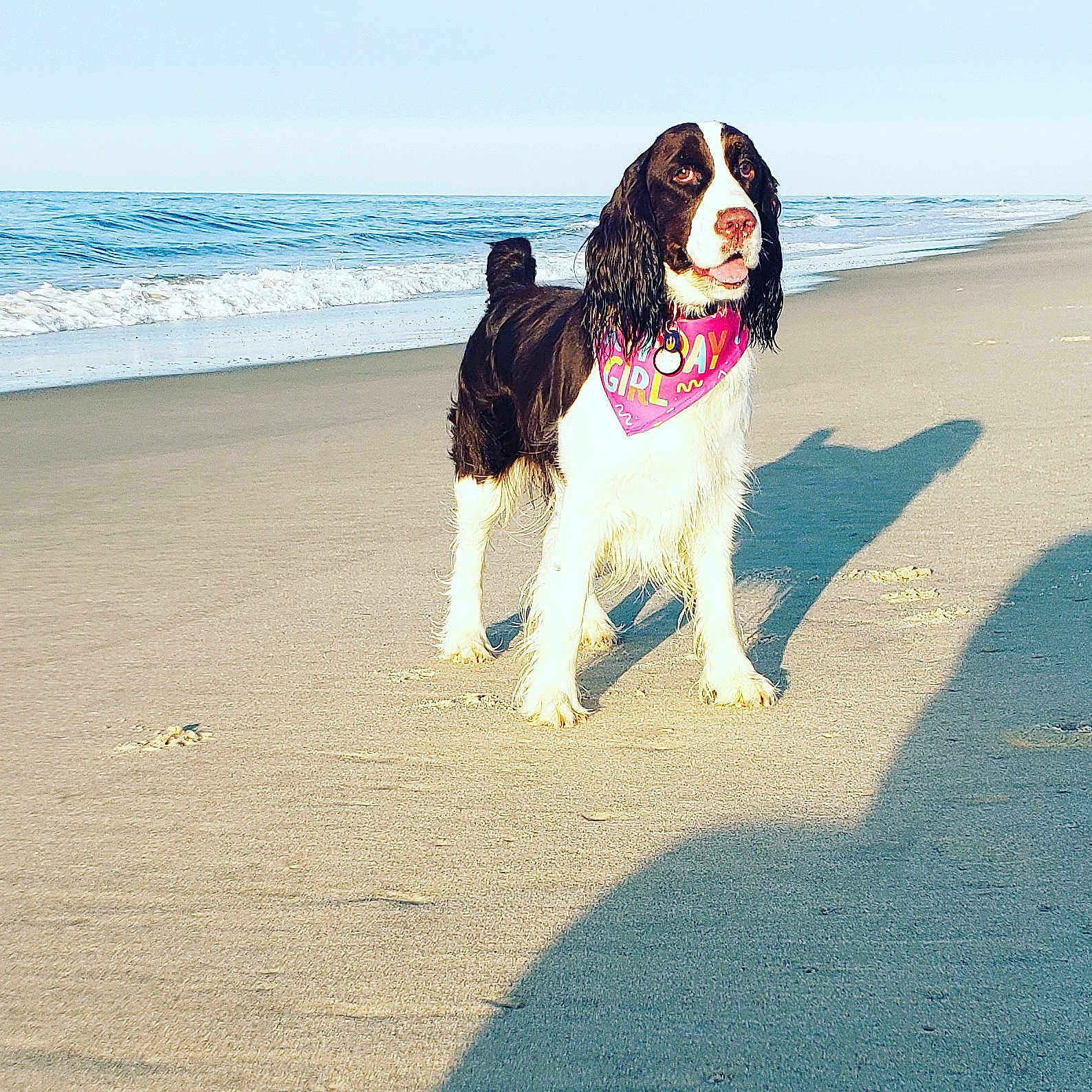 Leia