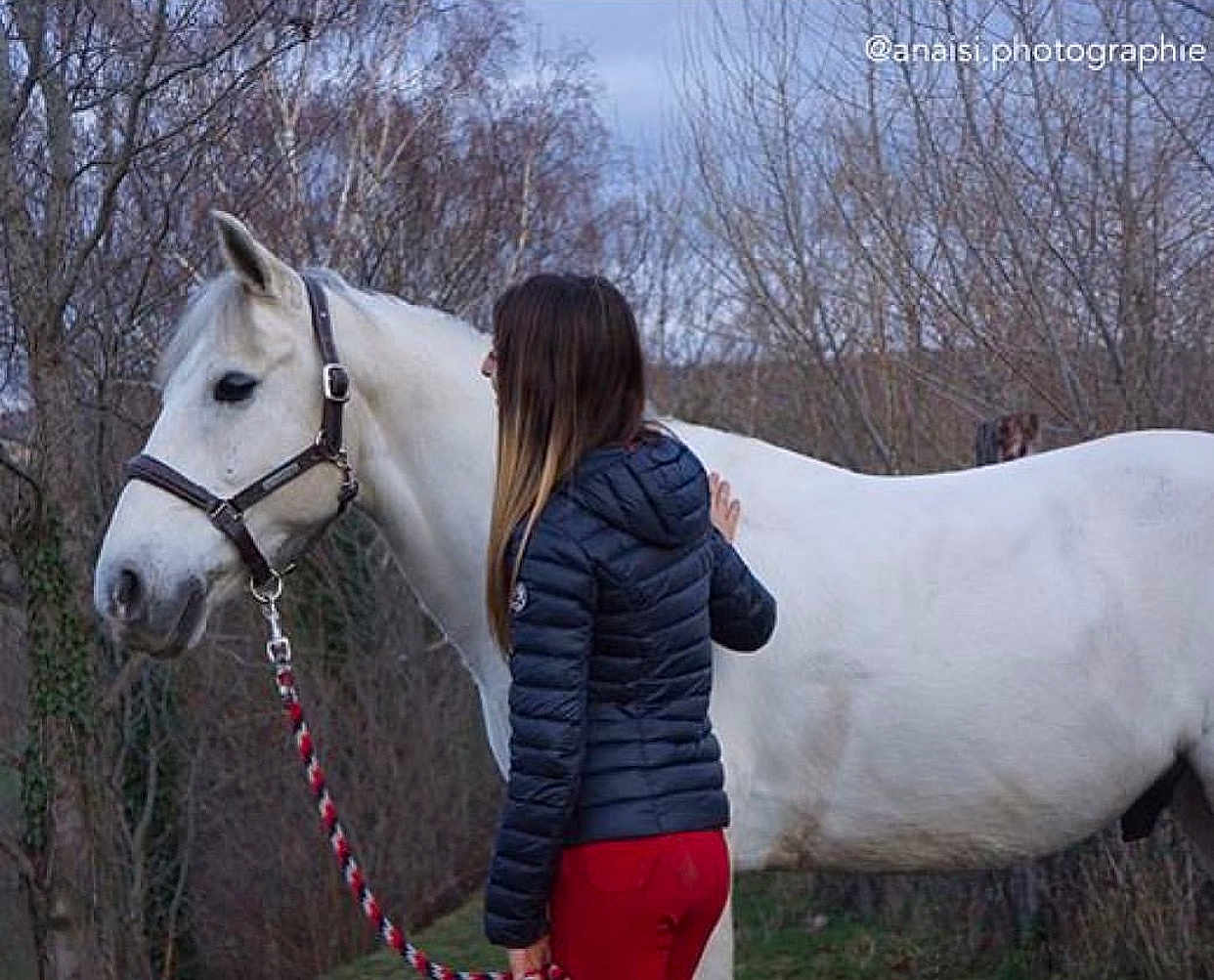 Tip Top a rejoint le concours — aidez-le/la à gagner de superbes lots ! bridle, halter, horse, horse_grooming, horse_like_mammal, horse_supplies, horse_tack, livestock, mane, mare, mustang_horse, neck, pack_animal, pony, rein, saddle, snout, stallion, tree