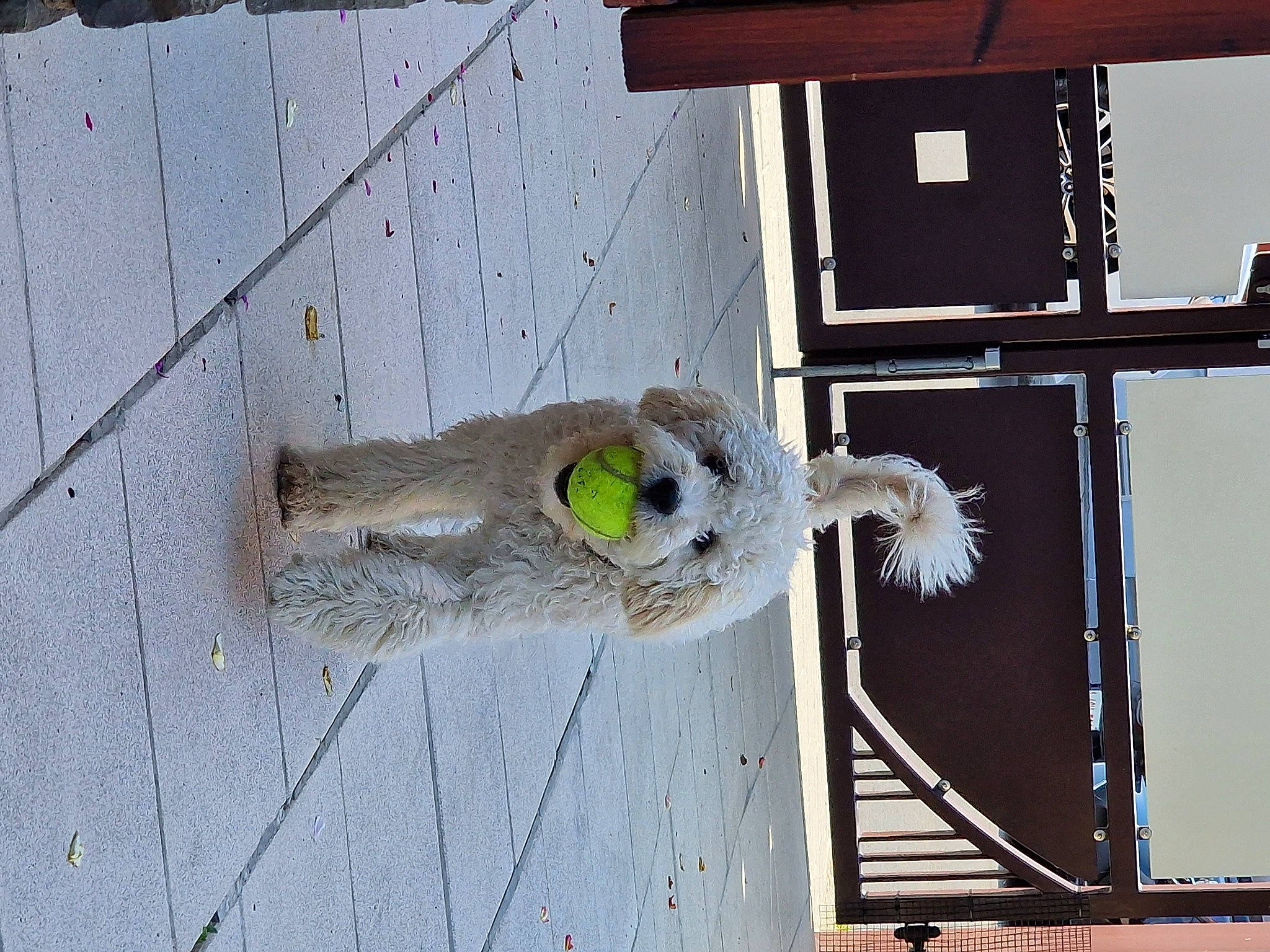 Avricot participe au concours pour gagner de l'argent avec cette photo : art, building, concrete, facade, flooring, metal, rope, wire, wood