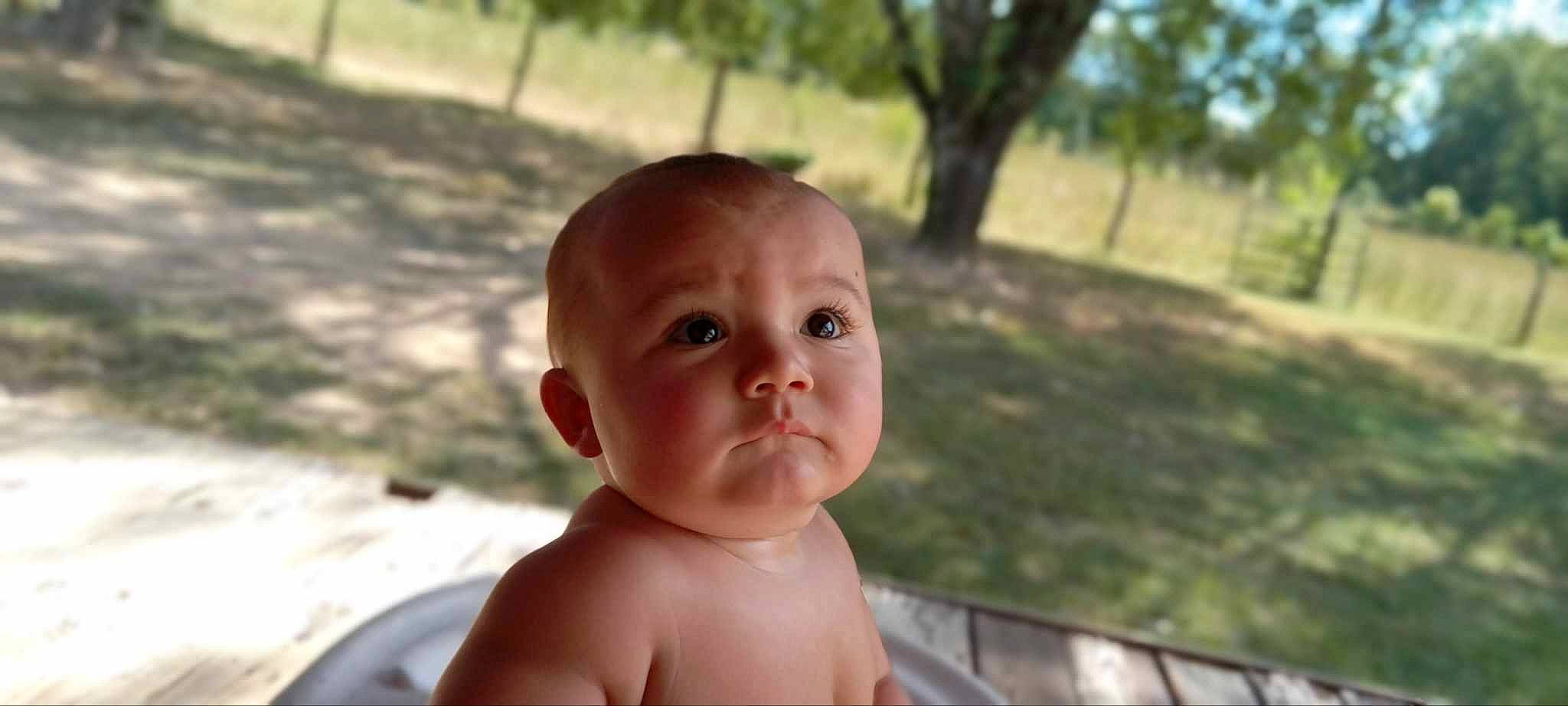 Dawson joined the competition — help win amazing prizes! baby, baby_toddler_clothing, cheek, chin, eye, eyelash, face, grass, happy, head, iris, leisure, lip, mouth, nose, person, plant, skin, toddler, tree