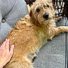 Rex is registered to the contest to win money with this photo: