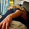 man, dog, couch, nap, indoor, window, pillow, blanket, relaxation, sleeping, furniture, curtain, human, pet, companion, cozy, casual_clothing, beard, arm, home