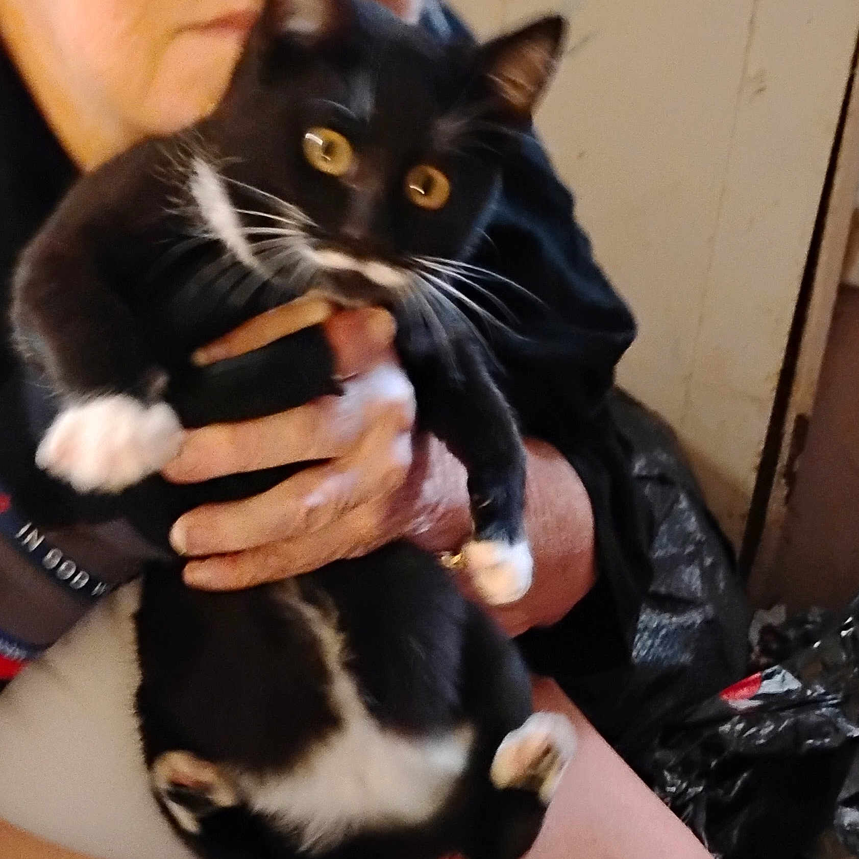 Luna