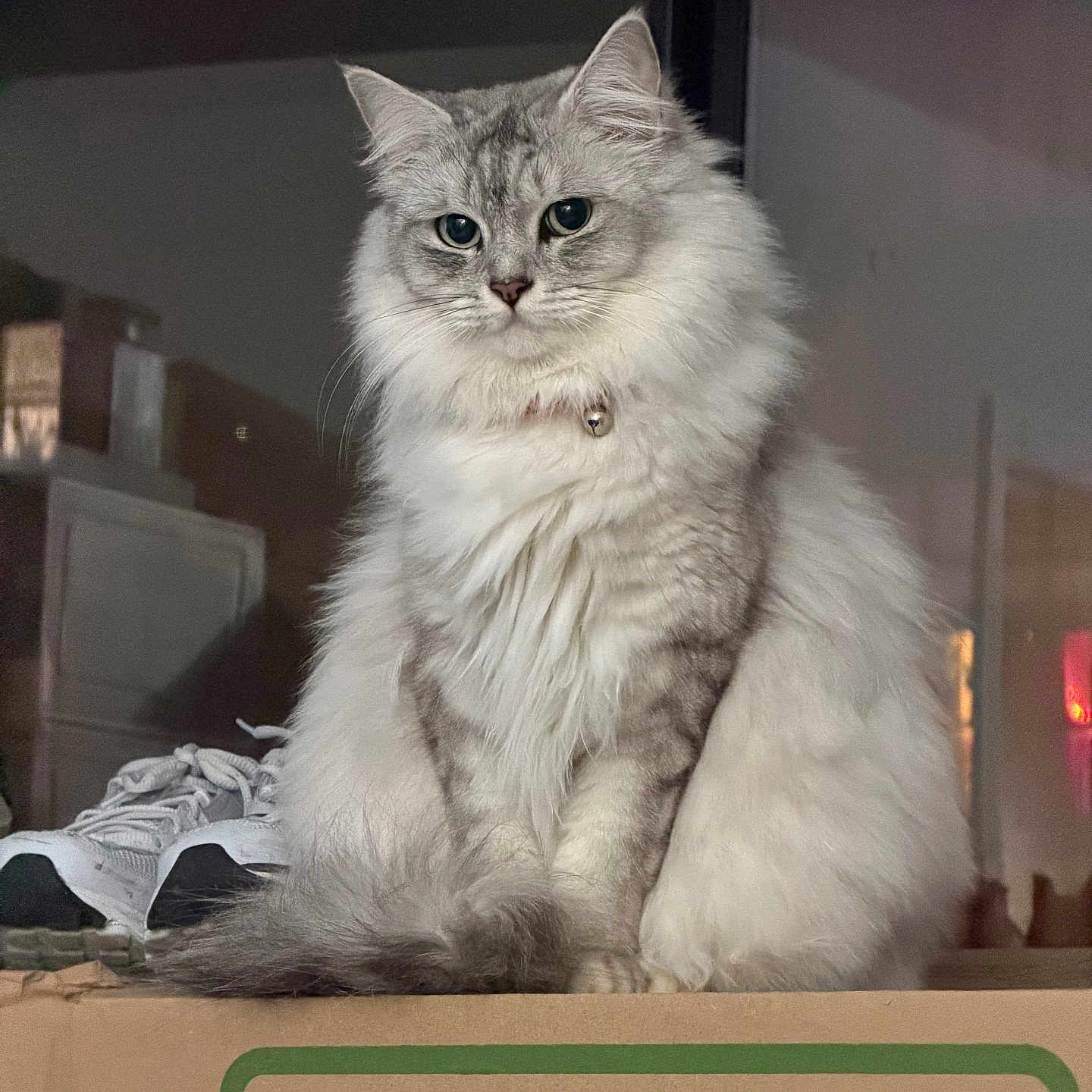 Luna