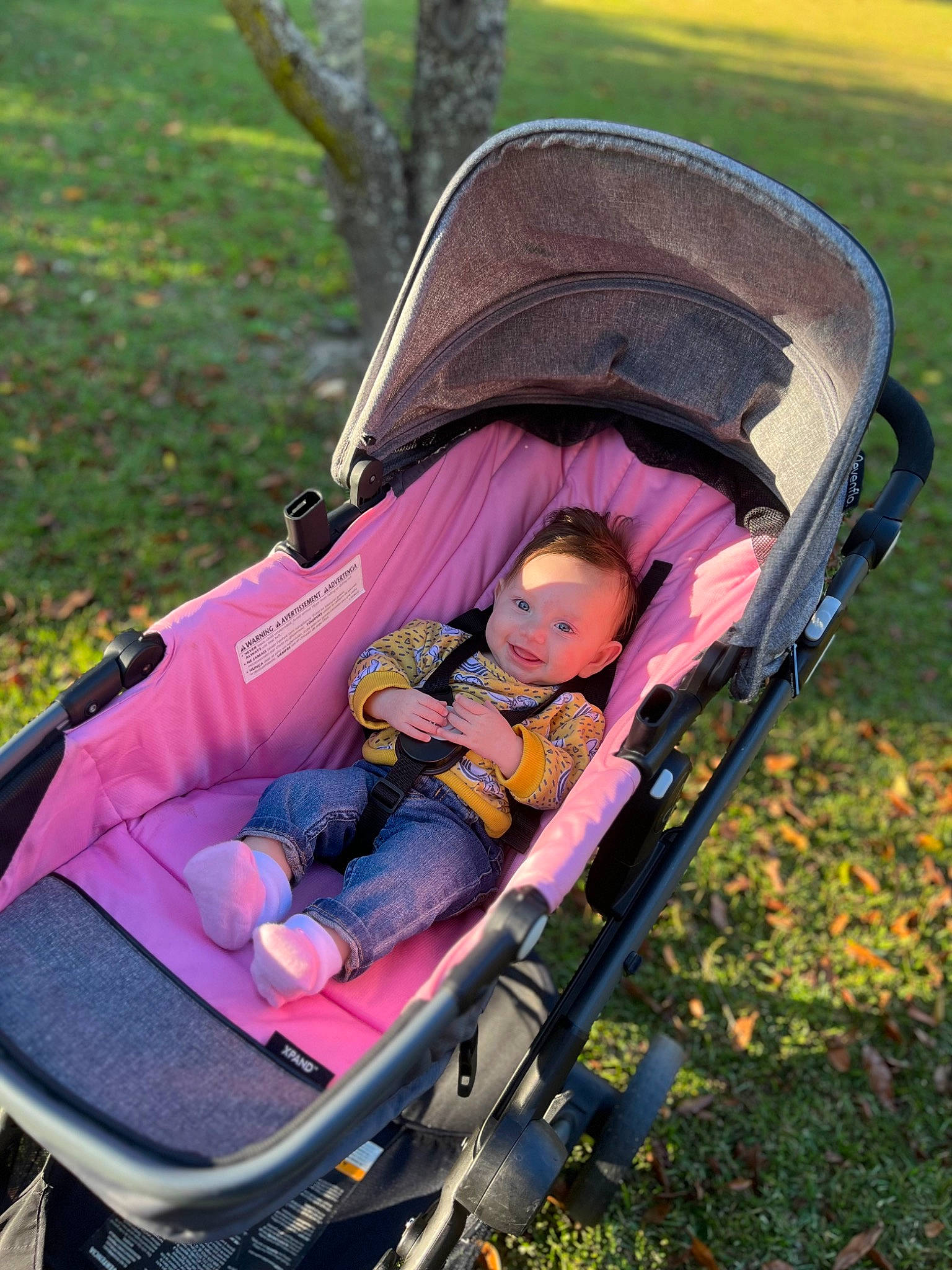 Saylah is registered to the contest to win money with this photo: auto_part, baby, baby_carriage, baby_products, baby_toddler_clothing, chair, comfort, fun, grass, joy, leisure, magenta, motor_vehicle, people_in_nature, person, plant, sitting, tire, toddler, tree