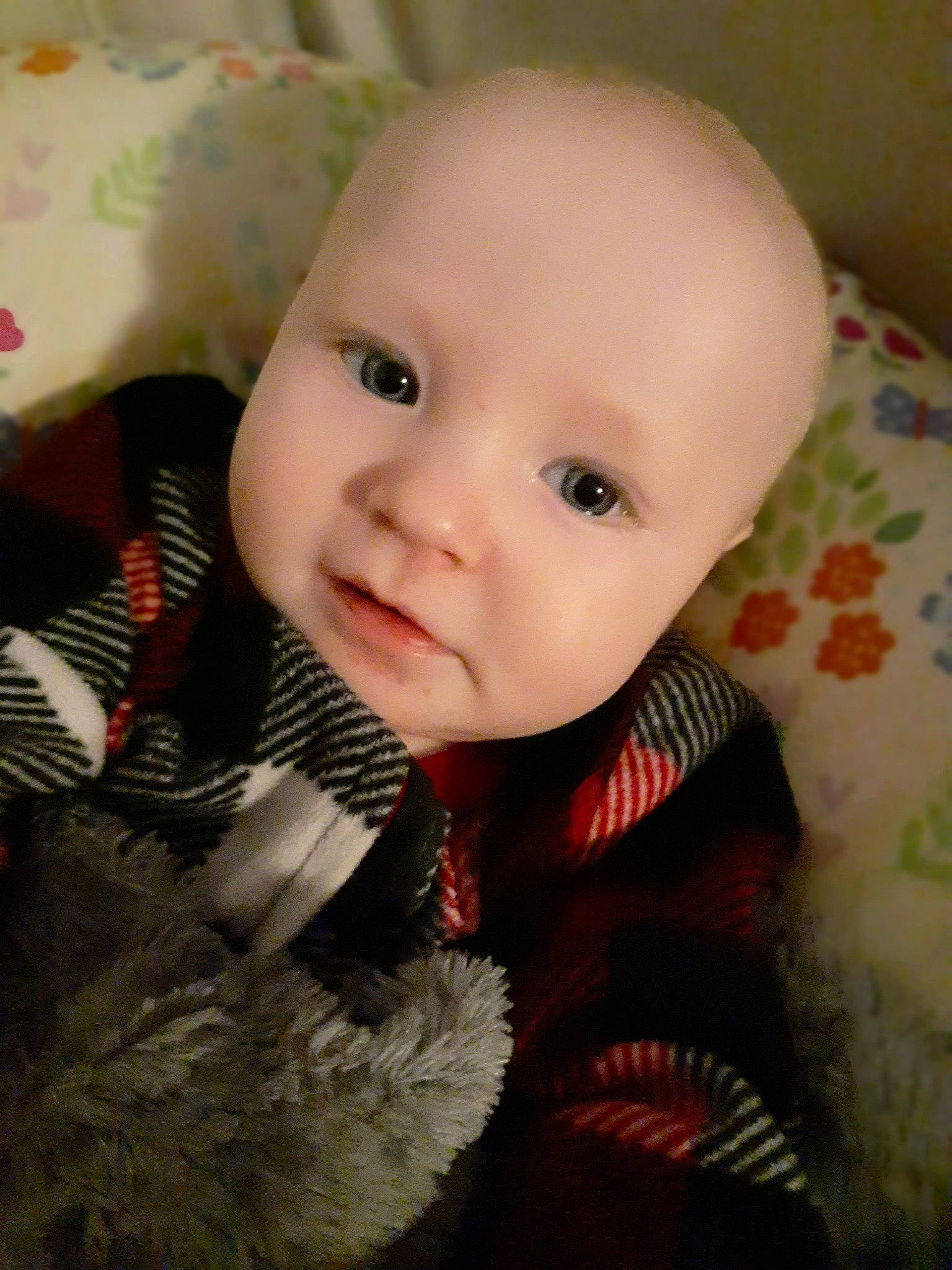 Brantley joined the competition — help win amazing prizes! baby, beauty, cheek, child, eye, face, forehead, fur, head, iris, lip, mouth, nose, person, skin, smile, toddler