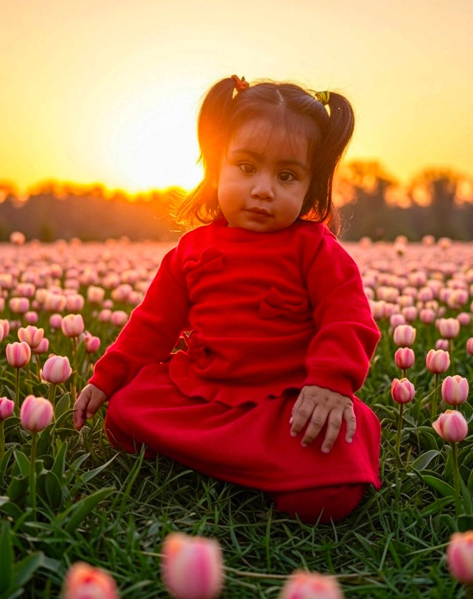 Natalia L. Sampayo joined the competition — help win amazing prizes! toddler, child, girl, red_clothing, tulip_field, flowers, sunset, nature, outdoor, grass, pigtails, portrait, sunlight, flower_bed, greenery, cute, peaceful, scenic, young_child, falling_sun