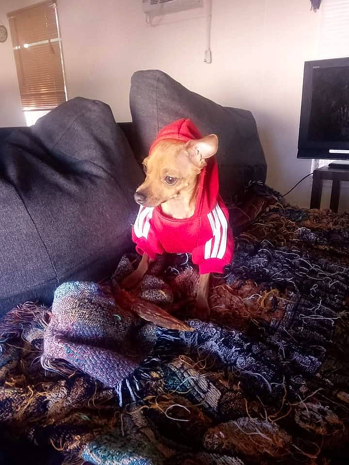 Kodak joined the competition — help win amazing prizes! comfort, couch, doll, fashion_design, flooring, fur, hat, human_leg, lamp, linens, living_room, magenta, picture_frame, selfie, sitting, stuffed_toy, television, textile, toy, wood