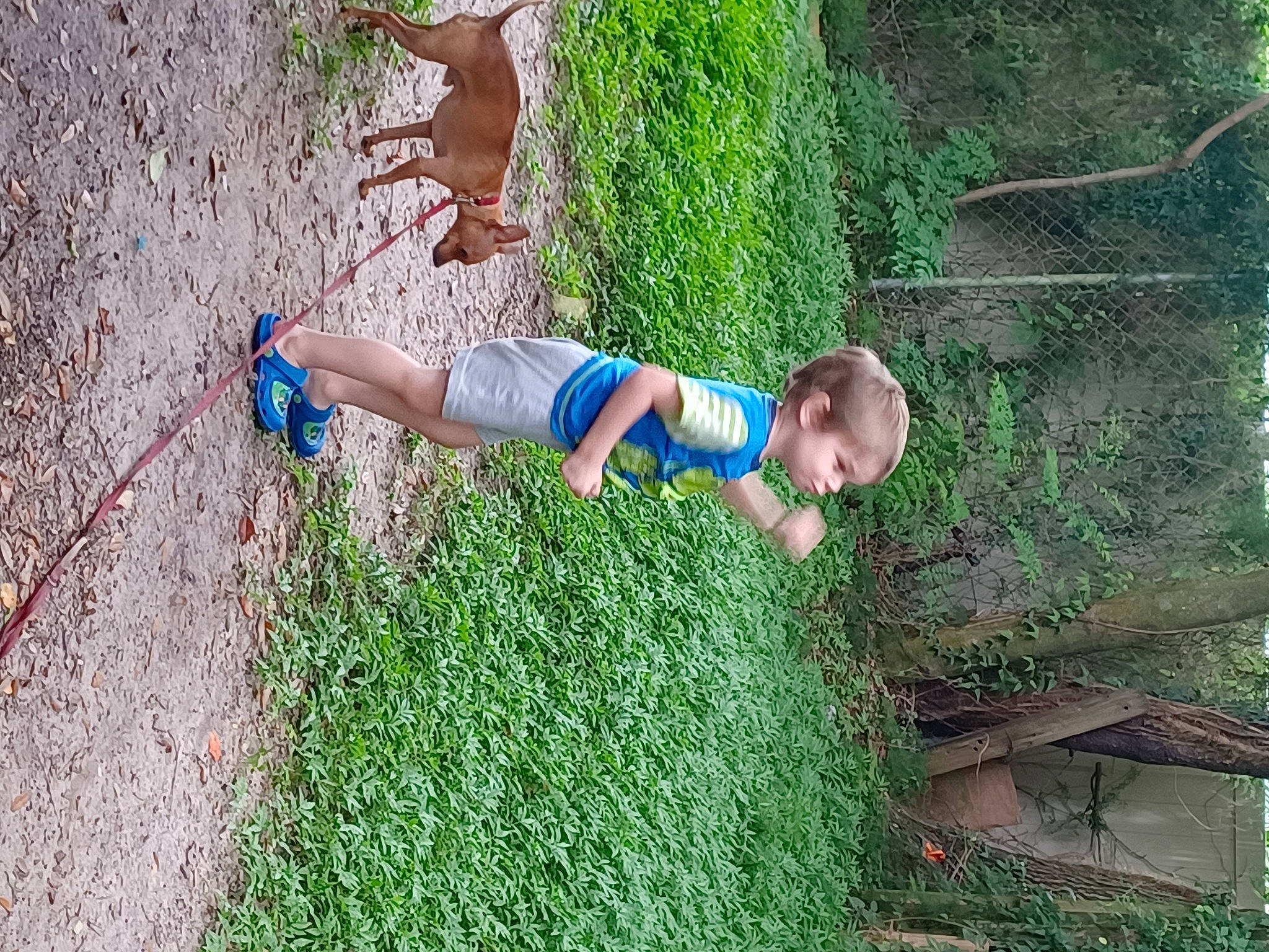 Kodak is registered to the contest to win money with this photo: electric_blue, fun, garden, grass, grass_family, groundcover, human_body, human_leg, landscape, leisure, people_in_nature, plant, sandal, shrub, terrestrial_plant, thigh, toddler, tree, wood, yard