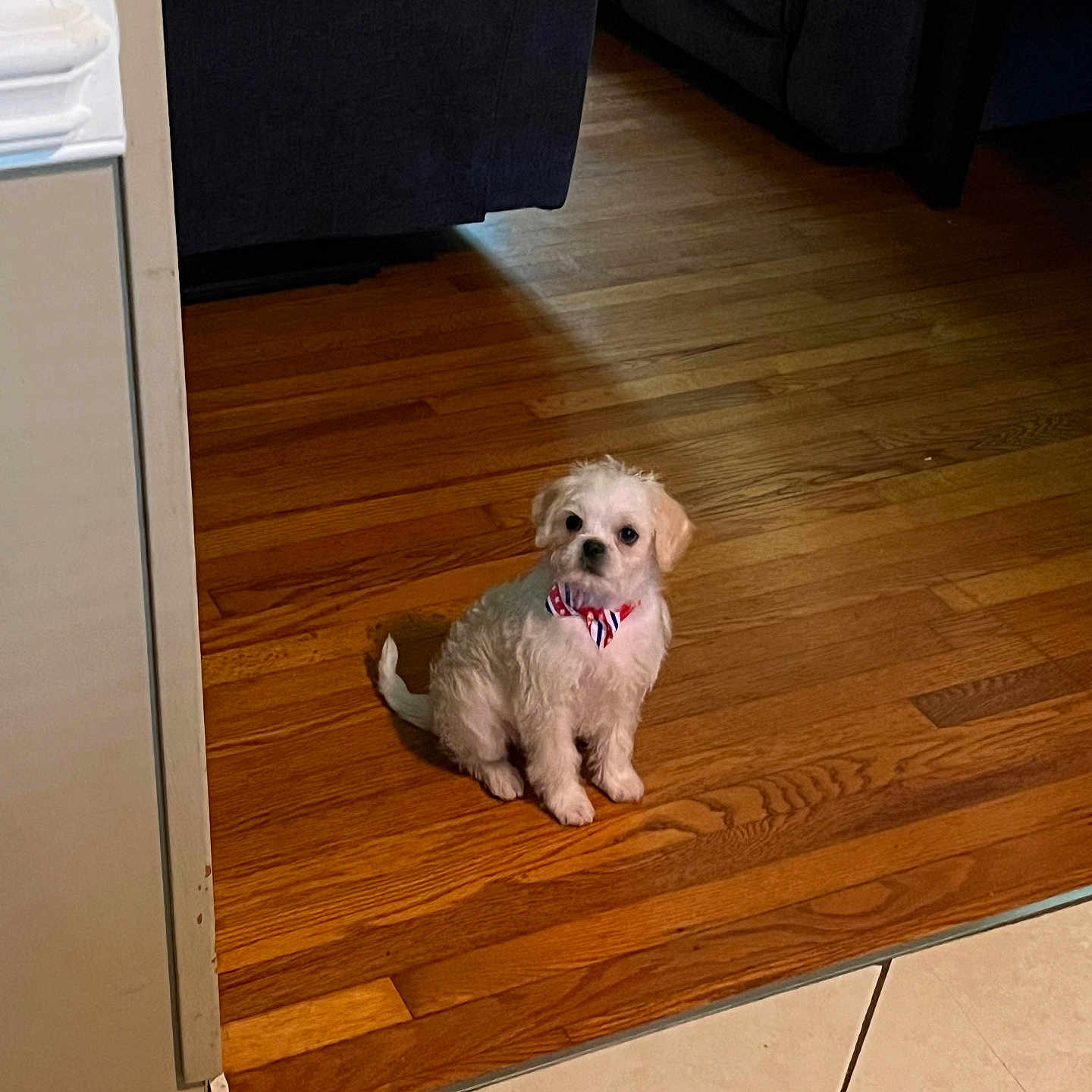 Bentley