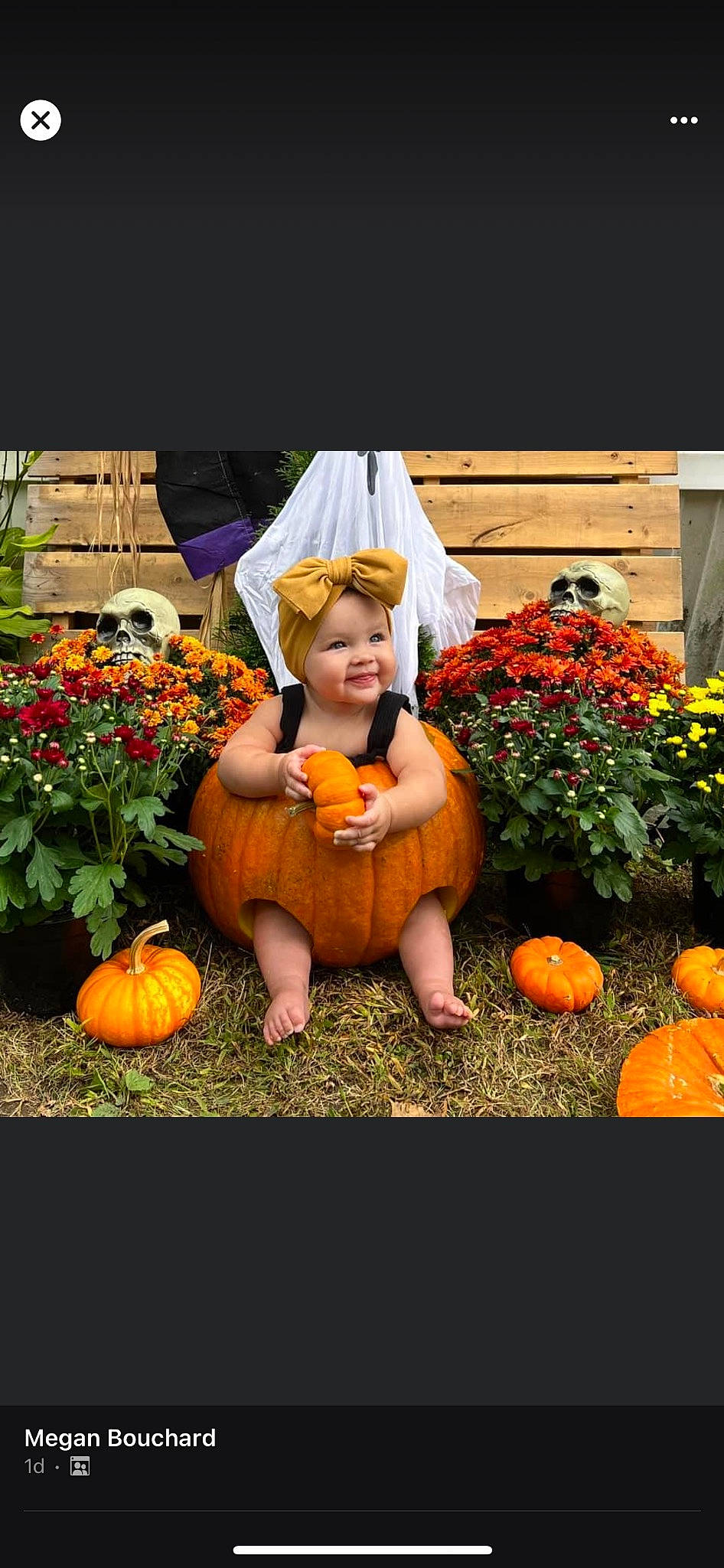 Wren joined the competition — help win amazing prizes! botany, calabaza, cucurbita, dress, flower, gourd, grass, happy, headwear, houseplant, joy, lawn, local_food, natural_foods, orange, people_in_nature, person, plant, pumpkin, squash