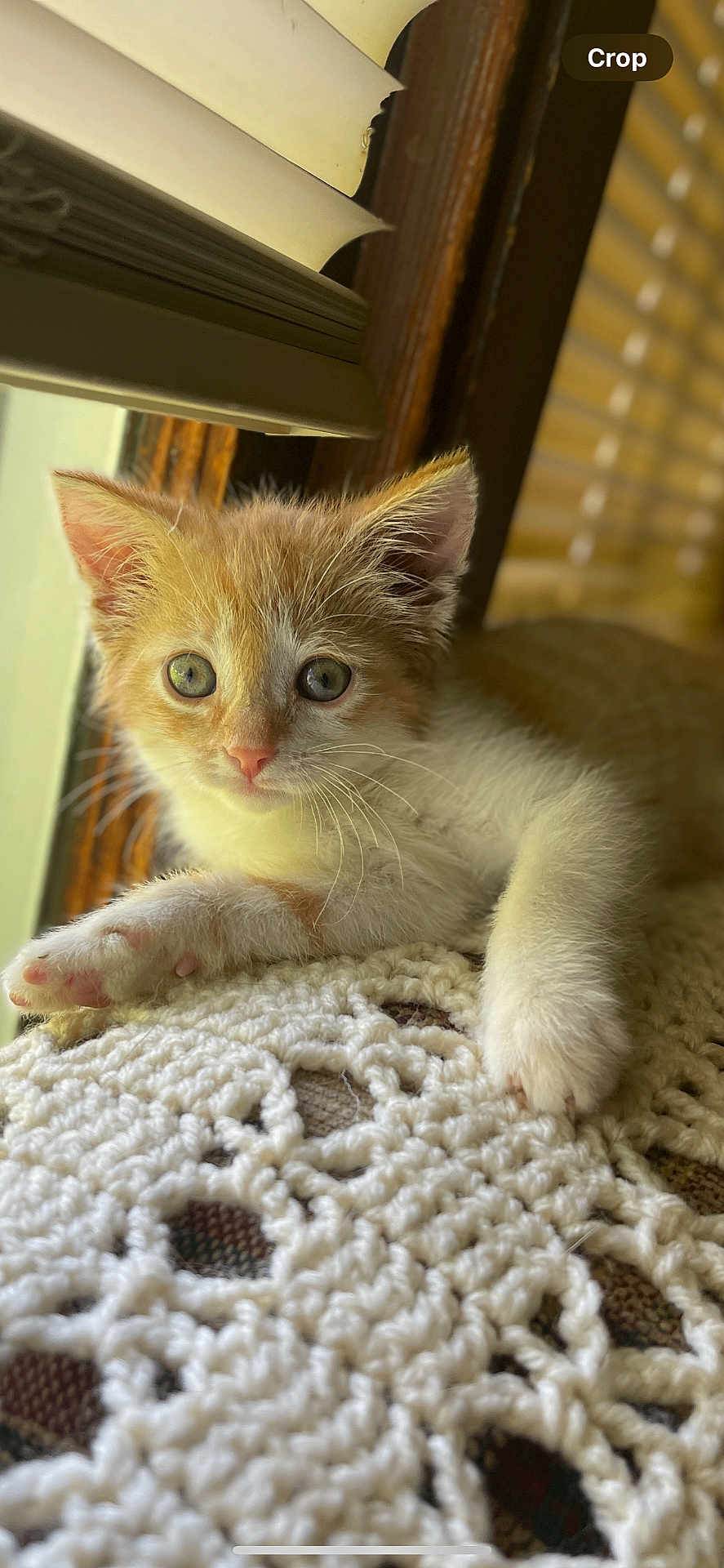 Sammy