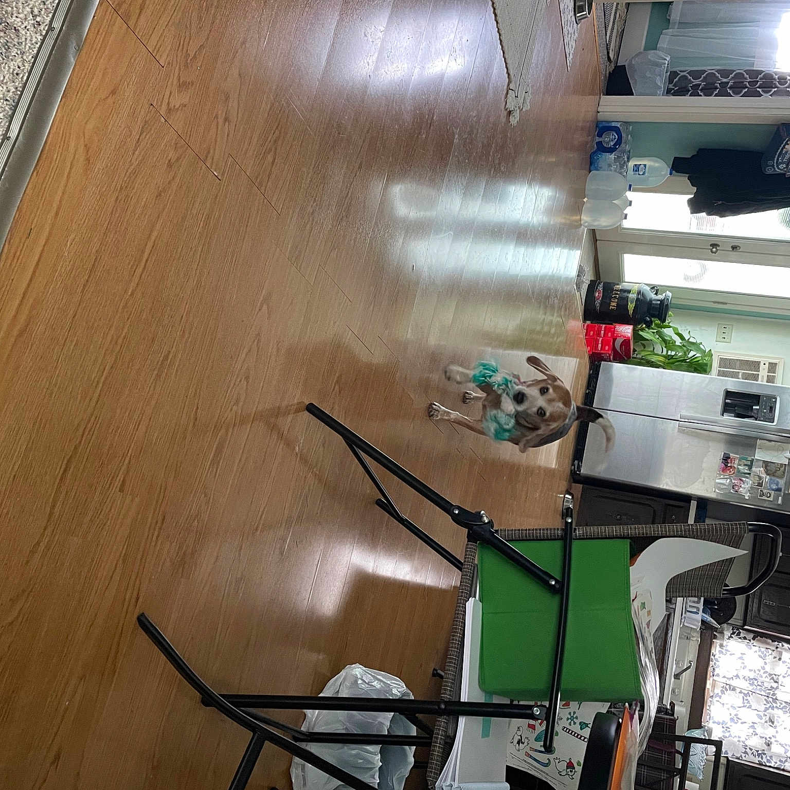 Rubble joined the competition — help win amazing prizes! building, ceiling, chair, floor, flooring, hardwood, house, houseplant, interior_design, material_property, plywood, room, shelf, shelving, table, varnish, wall, wood, wood_flooring, wood_stain