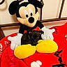 Coco joined the competition — help win amazing prizes! puppy, dog, plush_toy, mickey_mouse, bed, blanket, red, yellow, black, stuffed_animal, cute, small, cozy, indoor, toy, animal, pet, soft, resting, comfortable