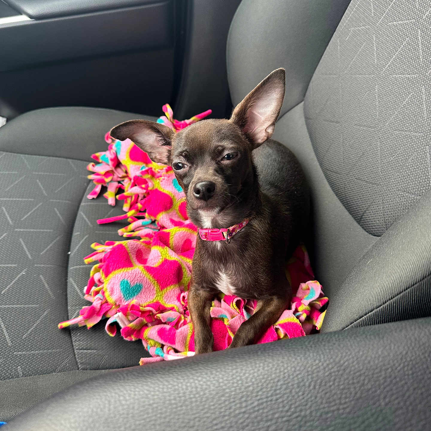 Coco
