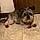 King