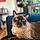 Oliver