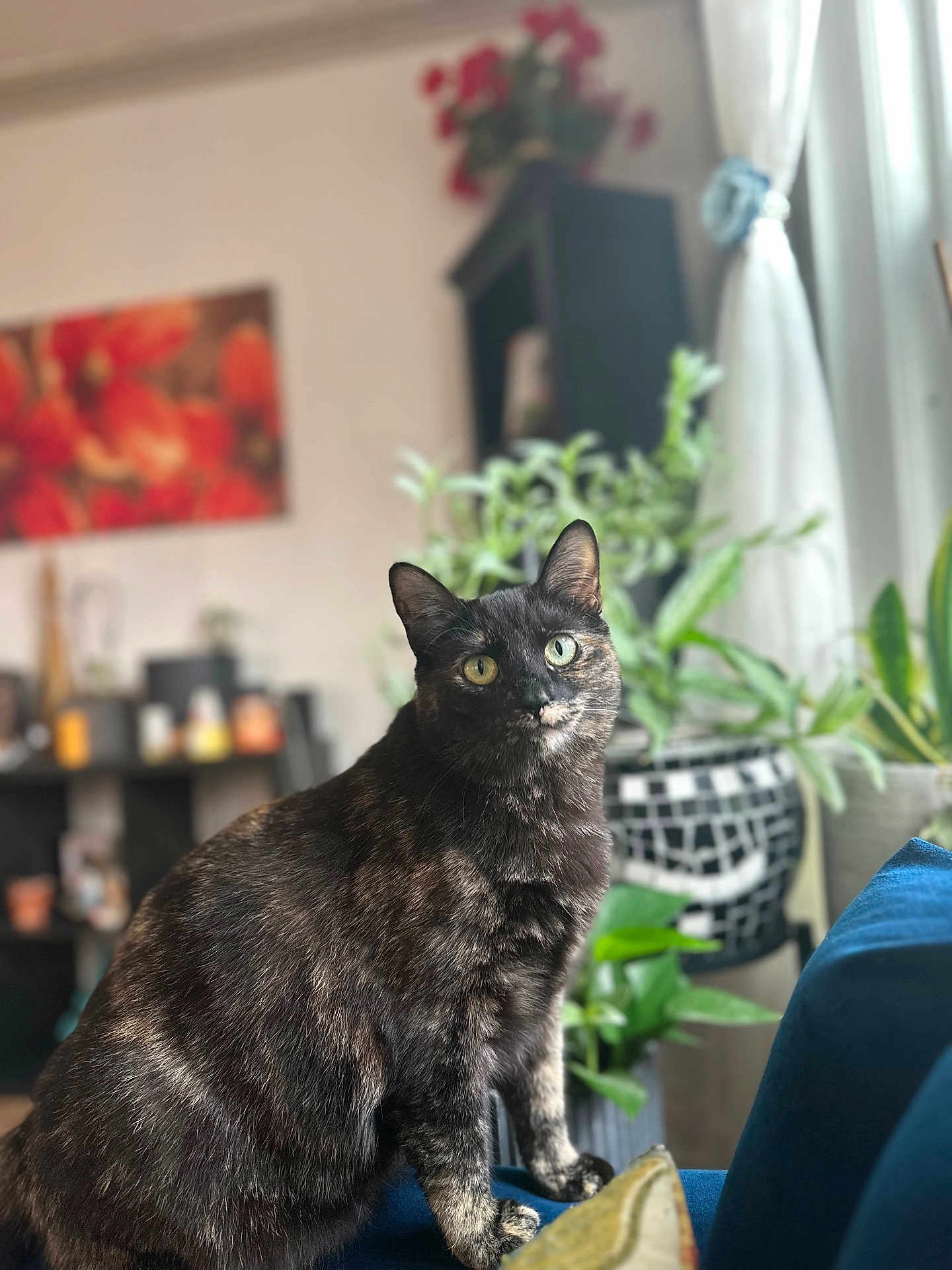 Lucy Lu