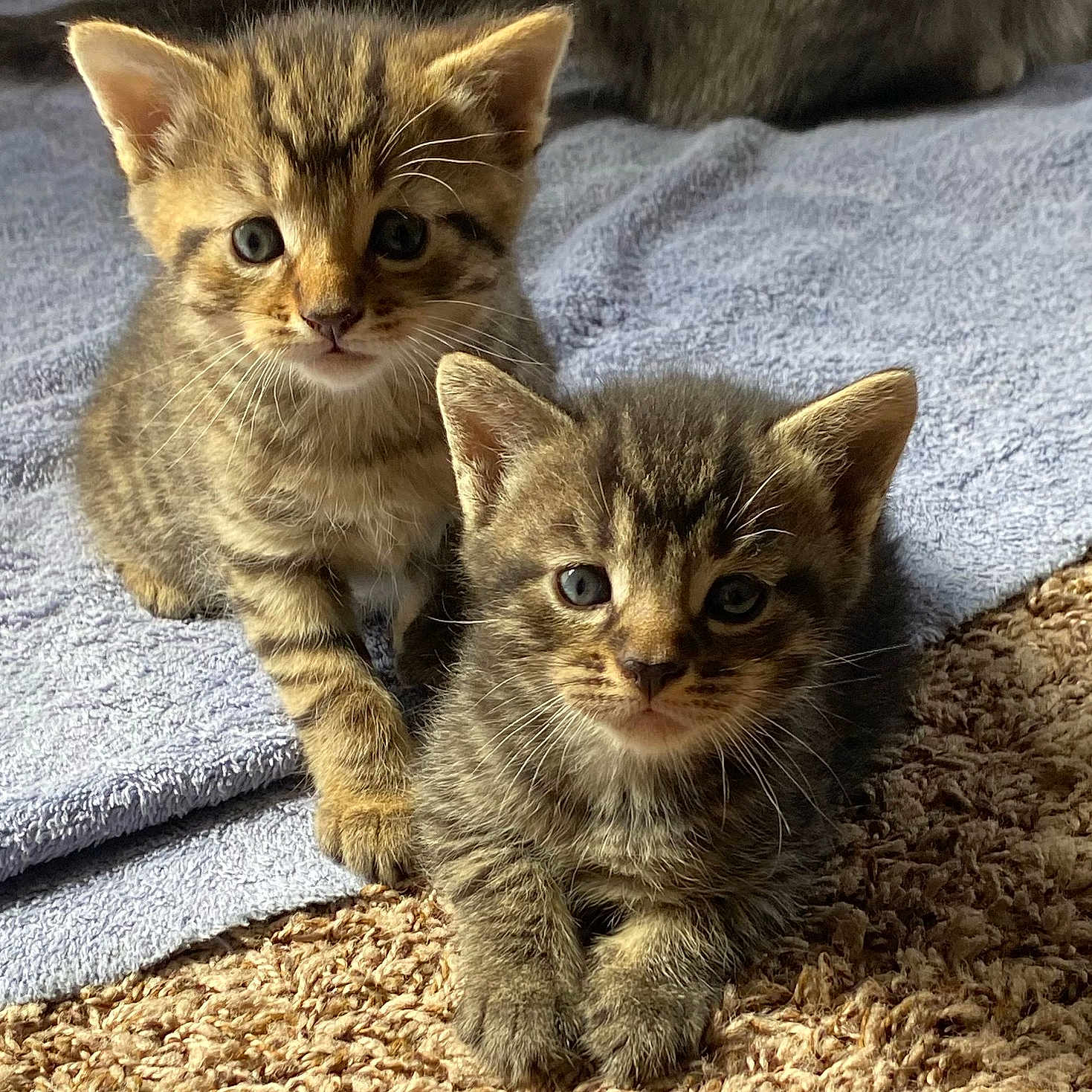 Atlas And Athena