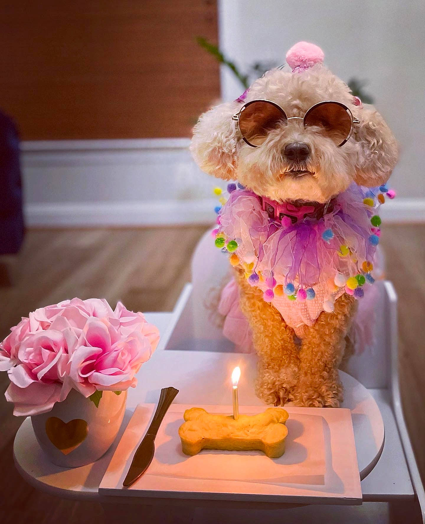 Emily is registered to the contest to win money with this photo: candle, carnivore, companion_dog, cut_flowers, dog, dog_breed, dog_clothes, dog_supply, event, fawn, flower, flower_arranging, party_hat, petal, pink, rose, sporting_group, table, toy_dog, wedding_ceremony_supply