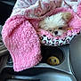 puppy, dog, blanket, pink, car_interior, cup_holder, leopard_print, bed, furry, small_dog, snuggling, cozy, pet, animal, cute, sleepy, soft, car_console, ruffles, fur