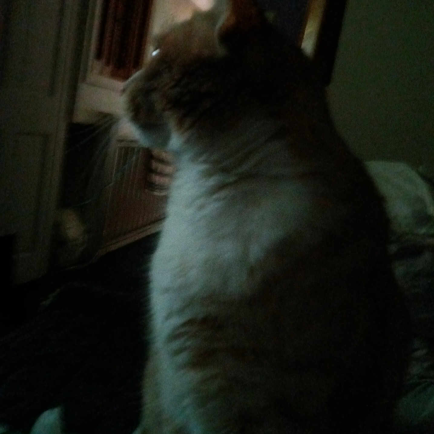 Zukie