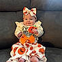Rosa joined the competition — help win amazing prizes! baby, child, infant, halloween, pumpkin, costume, bow, smile, face, couch, clothing, foot, sitting, indoors, cute, headband, celebration, holiday, person, portrait